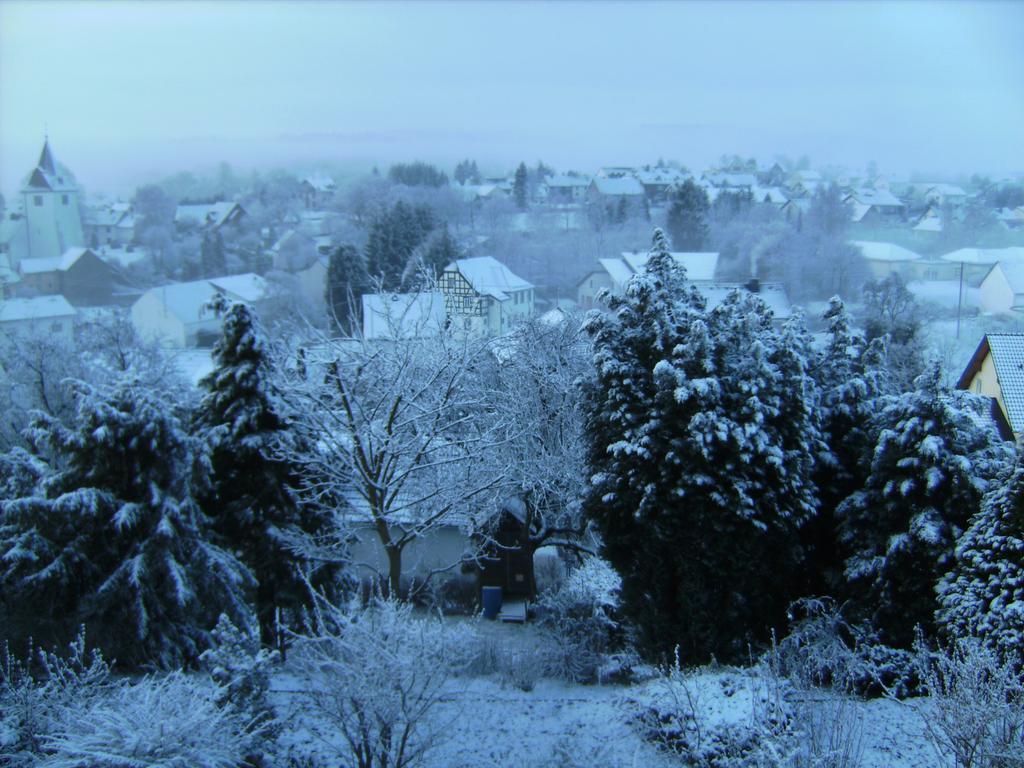 Eifel Panoramablick Apartment Kelberg Bilik gambar