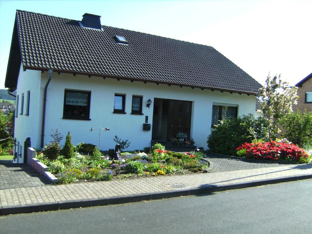 Eifel Panoramablick Apartment Kelberg Bilik gambar